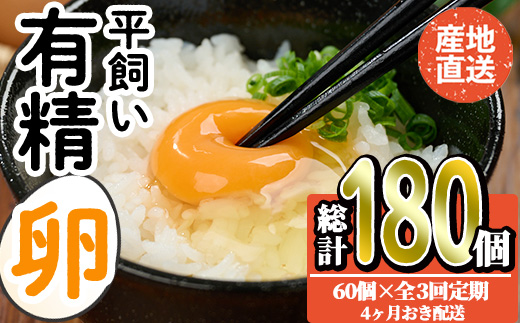 ＜定期便・全3回＞産直・平飼い有精卵 (総計180個・60個×3回(4ヶ月おき発送)) 卵 玉子 卵かけご飯 玉子焼き 平飼い 鶏 鶏卵 養鶏場直送 朝採れ 新鮮 大分県 佐伯市 【HM08】【佐伯養鶏場】