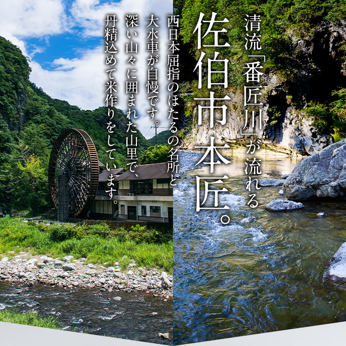 ＜令和6年産・新米＞＜定期便・6回 (連続)＞大分ひのひかり (総量30kg・5kg×6ヶ月) 米 定期便 6ヶ月 ひのひかり ヒノヒカリ 精米 白米 大分県産【AJ82】【(有)ケーキ大使館クアンカ・ドーネ】