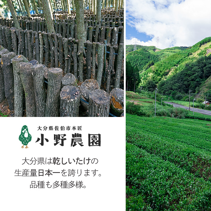 原木 乾しいたけ (計280g・70g×4P) 原木栽培 干し椎茸 しいたけ きのこ 出汁 大分県産 大分県 佐伯市 本匠  【ES08】【小野農園】