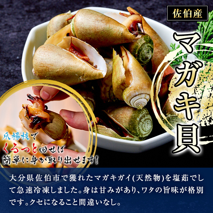 マガキ貝(チャンバラ貝・ハシリ貝) 調理済 冷凍 (計約1kg・250g×4P) 魚介 貝 塩茹で 簡単調理 レンジアップ おつまみ 海の直売所 大分県 佐伯市【AS144】【海べ (株)】