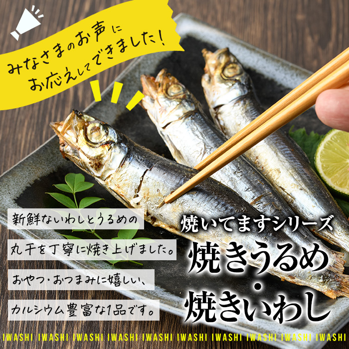 焼き うるめいわし 丸干し・焼き いわし 丸干し セット(総計54尾) 焼いてますシリーズ 小分け 国産 冷凍 国産 魚 海鮮 おつまみ おかず 惣菜 簡単調理 大分県 佐伯市【DL25】【鶴見食賓館】