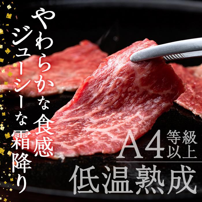 ＜先行予約受付中！2025年2月以降順次発送予定＞おおいた和牛 トウガラシ 焼肉 (300g) 国産 牛肉 肉 霜降り 低温熟成 A4 和牛 ブランド牛 BBQ 冷凍 大分県 佐伯市【DH221】【(株)ネクサ】