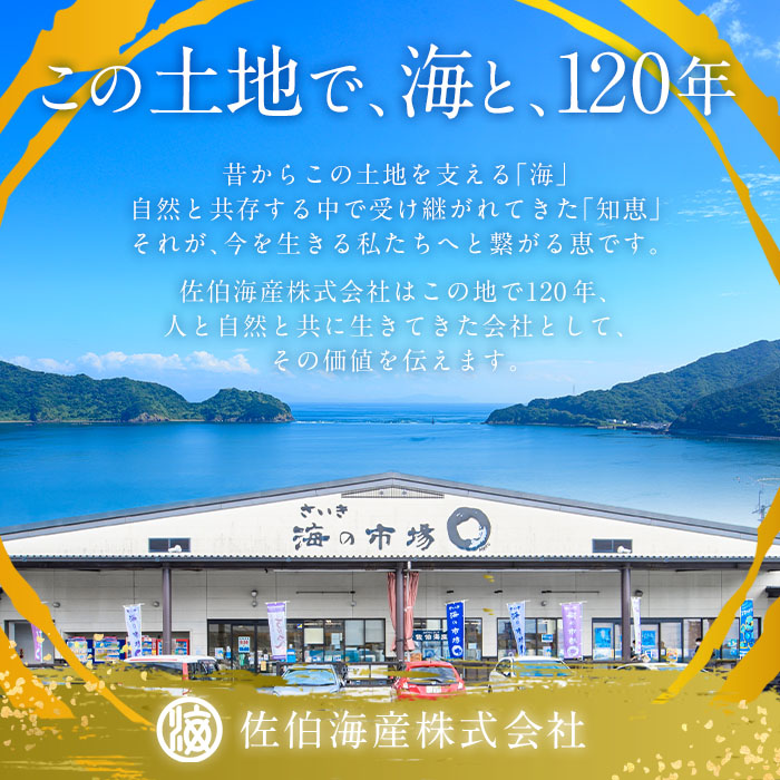 老舗海産物問屋 選りすぐり干物 セット 青 (7種)あじ 鯵 さば 鯖 みりん ちりめん 海鮮 魚 いわし セット 詰合せ 【BQ83】【佐伯海産(株)】