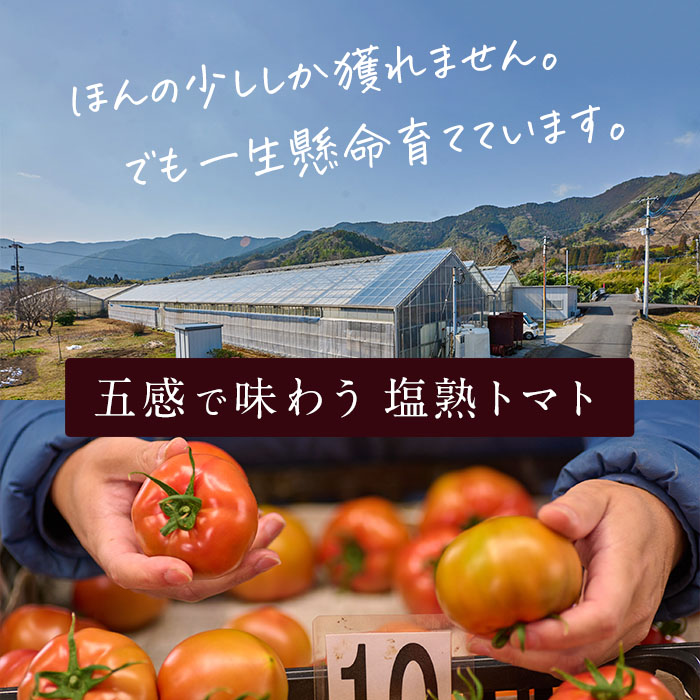 ＜先行予約受付中！2025年5月より順次発送予定＞塩熟トマト KitachiRosso (計600g) 糖度10度以上 塩トマト 塩とまと とまと トマト 野菜 大分県 佐伯市 九州産 国産 お取り寄せ 大分県 佐伯市【AK6j】【げんきファーム】