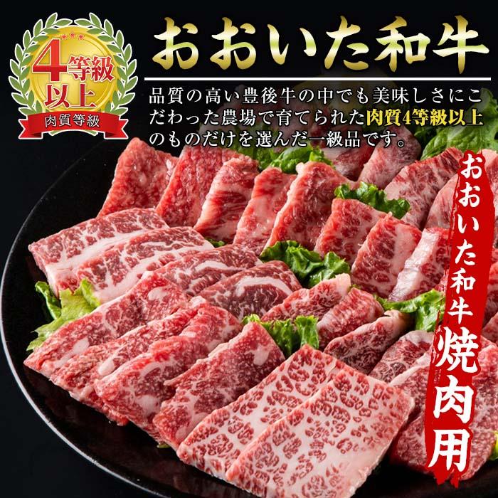 牛肉 豚肉 セット (合計1.1kg・おおいた和牛 焼肉300g×2P・大分県産 豚バラスライス500g) 小分け 和牛 お肉 しゃぶしゃぶ BBQ バーベキュー 惣菜 豊後牛 大分県 佐伯市【BD103】【西日本畜産 (株)】