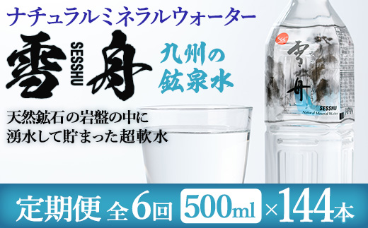＜定期便・全6回(毎月)＞ナチュラル ミネラル ウォーター 雪舟 (総量144本・500ml×24本×6回)定期便 国産 鉱泉水 お水 ドリンク 大自然 天然 料理 健康 維持 防災 常温 保存 6回【HD250】【さいき本舗 城下堂】