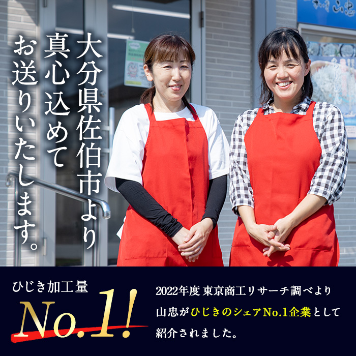  ひじき白和えの素 (合計900g・60g×15袋) ひじき 白和え 国産 大分県 常温 大分県 佐伯市【CW07】【(株)山忠】