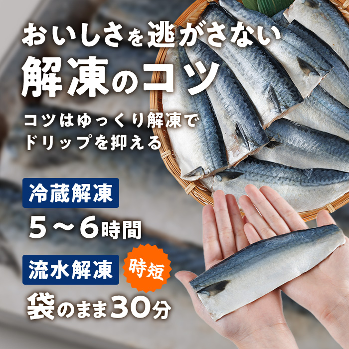 ïŒèš³ããã»äžæãïŒ å¡©ãã° ãã£ãŒã¬ (èš2kgã»1kgÃ2è¢) ãµã é¯ åã身 ãã£ã¬ æå¡© åœç£ ãã©ãã©å·å å°åã äŸ¿å© ç°¡åãHX003ããå±±ç°æ°Žç£ã