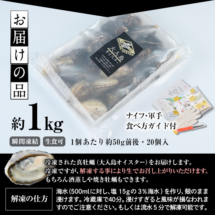 大入島 バージン オイスター 牡蠣 約1kg (1個約50g前後・20個入) 生食可 冷凍 真牡蠣 かき 貝 かい 酒蒸し 焼き牡蠣 パスタ 国産 一口サイズ ご当地 お取り寄せ グルメ 大分県 佐伯市【ED06】【(合)新栄丸】