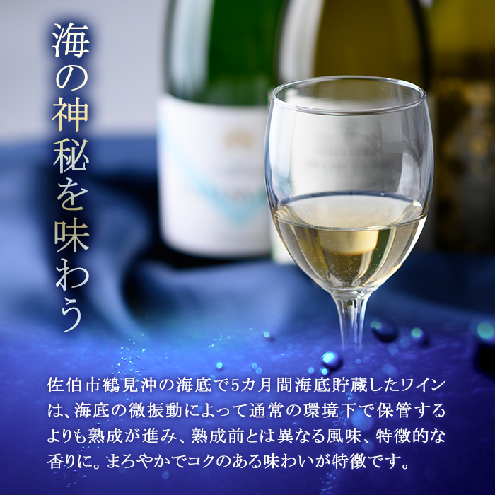 海底貯蔵 白ワイン MARIREINE ロネア コート デュ ローヌ レジョンド デ トック 2024 (750ml・1本) ワイン 白ワイン フランス 酒 パーティー マリレーヌ 海底蔵の眠り酒 熟成 大分県 佐伯市【FP032】【フルタ酒店】