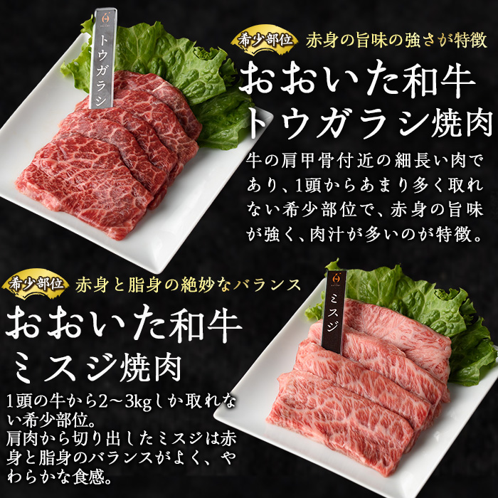 ＜訳あり＞厳選焼肉お試しセット (合計410g・5種) おおいた和牛 アイオワプレミアム 牛タン 米の恵み 豚バラ 焼肉 牛肉 肉 豚肉 赤身 カルビ 希少部位 低温熟成 和牛 ブランド牛 BBQ 冷凍 大分県 佐伯市【DH263】【(株)ネクサ】