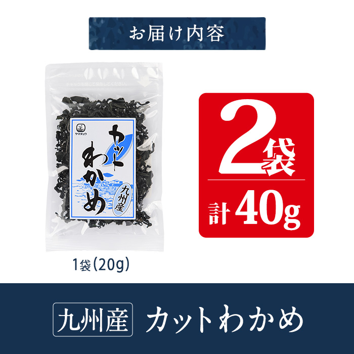 九州産 カットわかめ (計2袋・1袋20g入) 海藻 わかめ 味噌汁 みそ汁 サラダ 酢の物 スープ 国産 九州産 常温 大分県 佐伯市【CW32】【山忠】