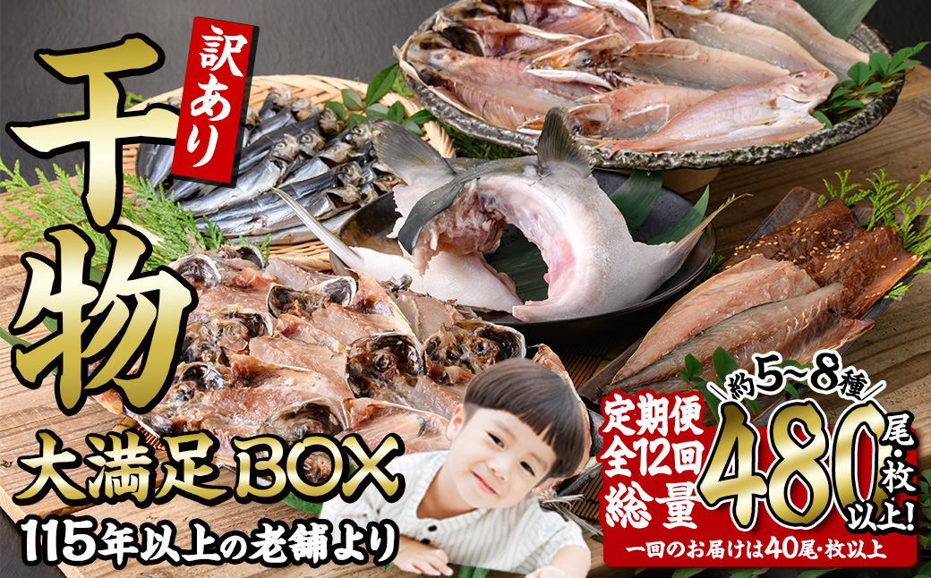＜定期便・全12回 (毎月)＞訳あり 干物大満足BOX (480尾以上)定期便 簡単 調理 干物 あじ かます さば いわし みりん干し 丸干し 開き 魚 海鮮 冷凍 詰め合わせ セット 大分県 佐伯市【AQ91】【やまろ渡邉】