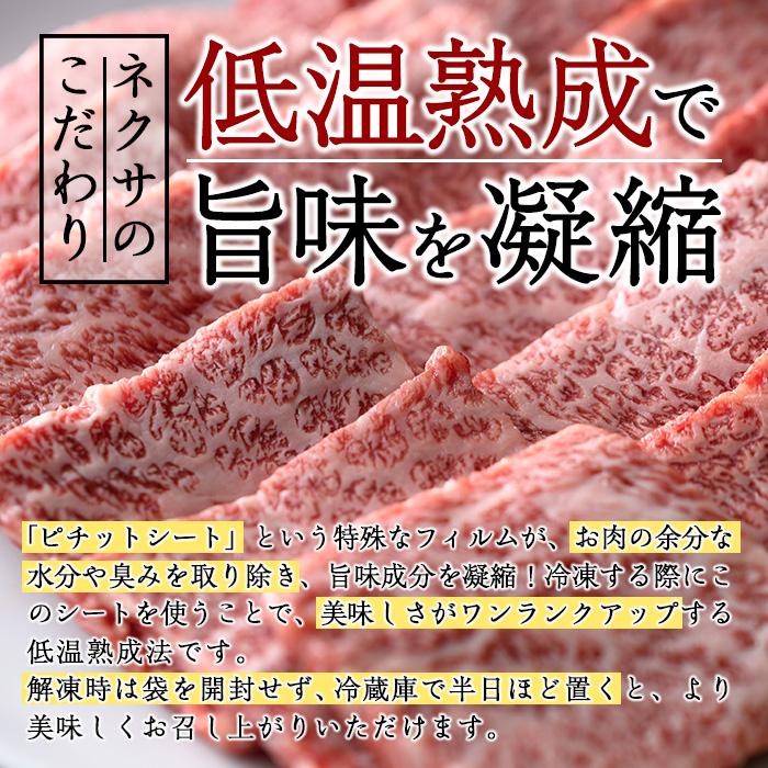 おおいた和牛 上カルビ 焼肉 (250g) 国産 牛肉 肉 霜降り 低温熟成 A4 和牛 ブランド牛 カルビ BBQ 冷凍 大分県 佐伯市【DH219】【(株)ネクサ】