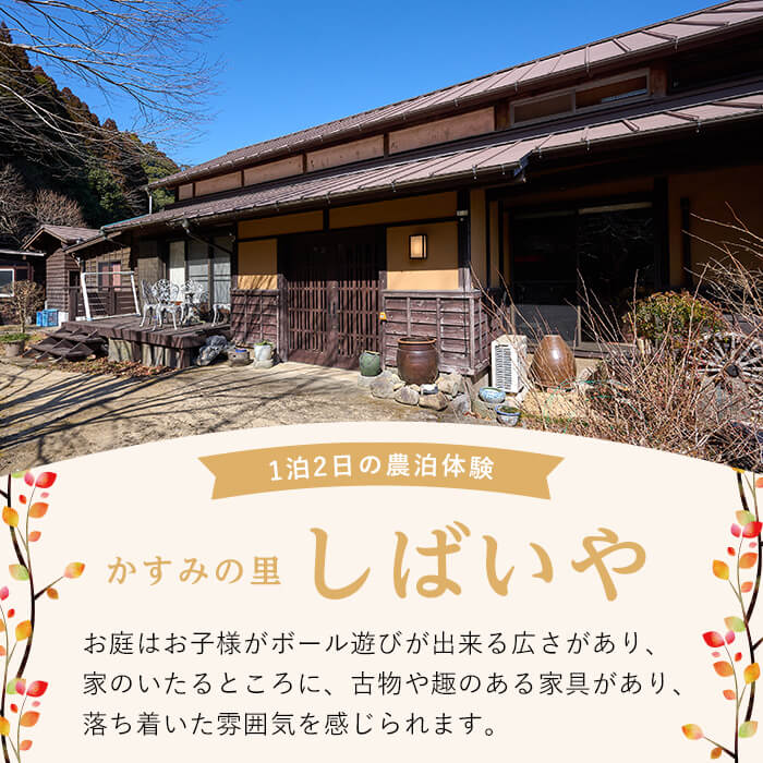 農泊体験・かすみの里 しばいや ペア1泊2食(ペアチケット) 体験 宿泊体験 チケット 民泊 宿泊 農村 食事付き 大分県 佐伯市【HD242】【さいき本舗 城下堂】