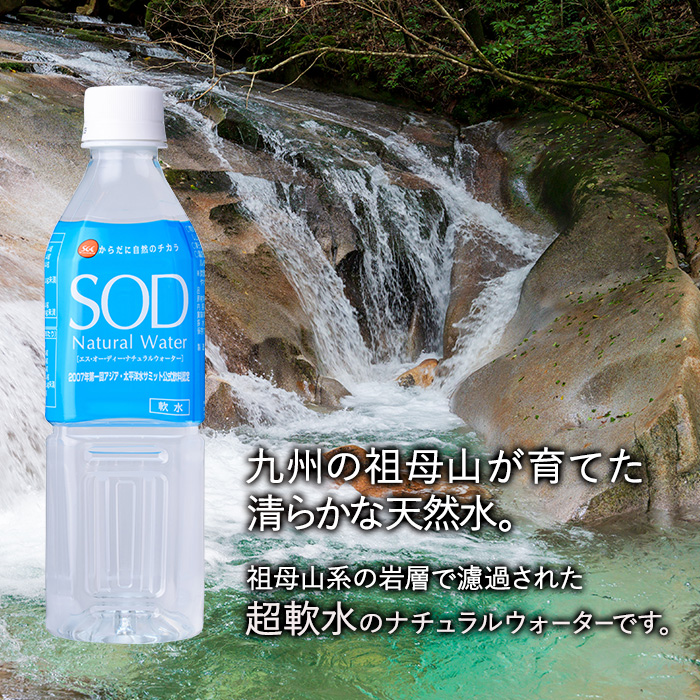 ＜定期便・全12回(毎月)＞ナチュラル ウォーター SOD (総量288本・500ml×24本×12回) 定期便 国産 鉱泉水 お水 ミネラル ドリンク 大自然 天然 料理 健康 維持 防災 常温 保存 12回【HD247】【さいき本舗 城下堂】