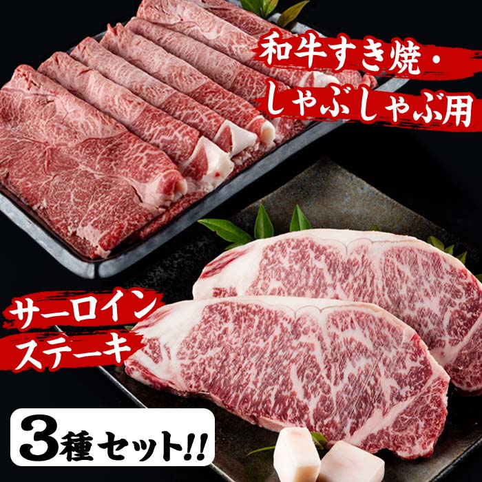 おおいた 和牛 3種 セット (合計1.66kg・サーロインステーキ180g×2枚・ウデ肉700g・焼肉300g×2P) 国産 豊後牛 BBQ 赤身 バーベキュー 惣菜 やきにく おかず 百年の恵み 【BD186】【西日本畜産 (株)】