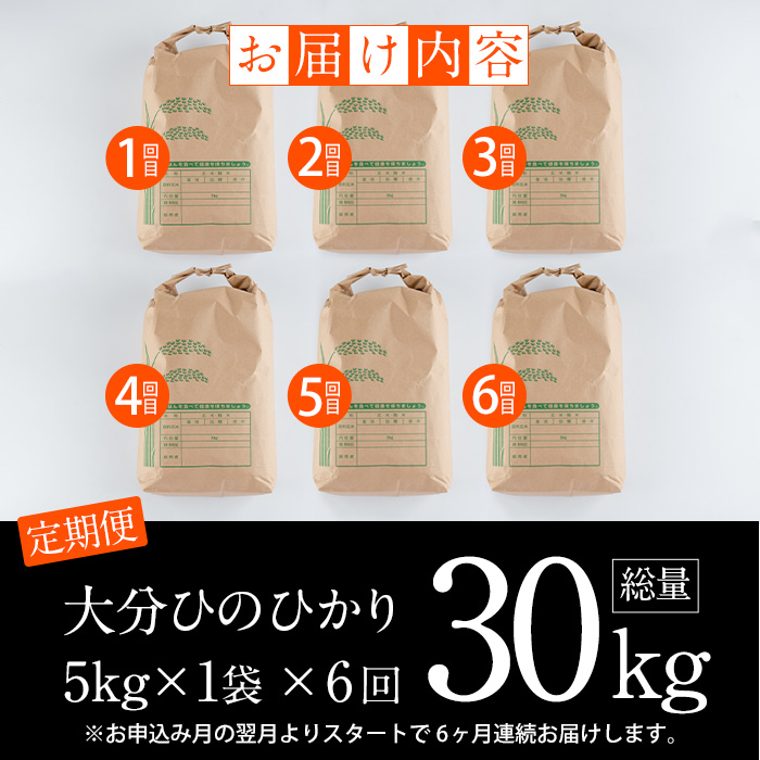 ＜令和6年産・新米＞＜定期便・6回 (連続)＞大分ひのひかり (総量30kg・5kg×6ヶ月) 米 定期便 6ヶ月 ひのひかり ヒノヒカリ 精米 白米 大分県産【AJ82】【(有)ケーキ大使館クアンカ・ドーネ】