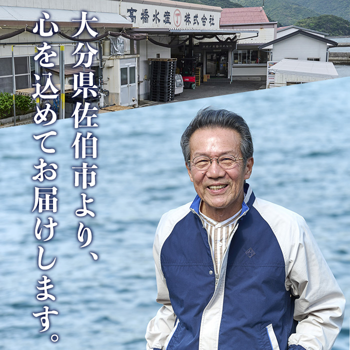 赤しそ寿司 (4-5貫入り×4セット) 鯵 あじ しそ 寿司 すし 名物 お土産 冷凍 惣菜 おつまみ 手作り 冷凍寿司 大分県 佐伯市【DH231】【(株)ネクサ】