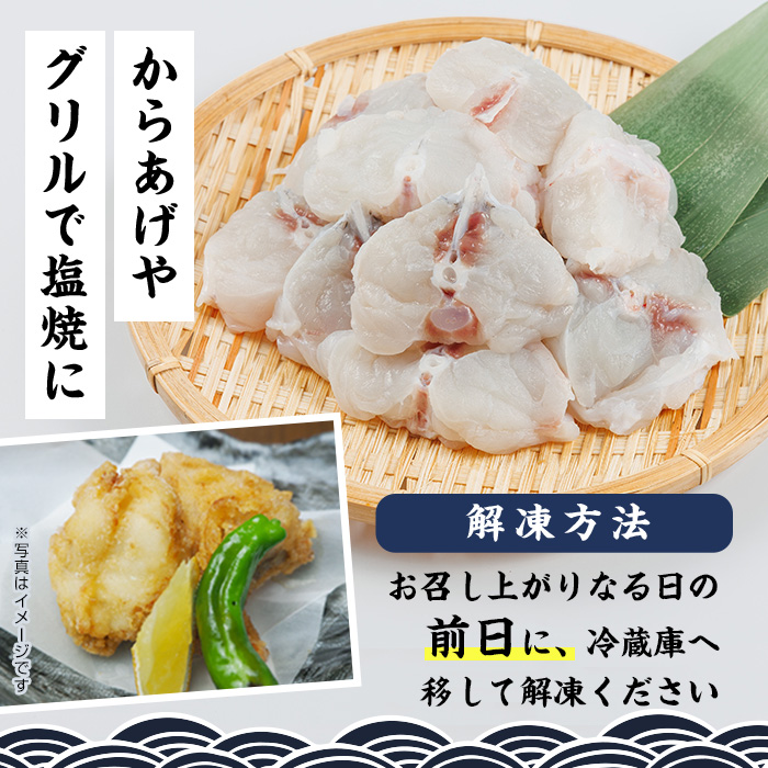 豊後水道 とらふぐ 切り身 (計1.2kg) ふぐ フグ トラフグ ふぐ鍋 唐揚げ ふぐちり てっちり 小分け 切身 切り身魚 切身魚 大容量 国産 冷凍 養殖 岬ふぐ【JJ001】【浪井丸一水産】