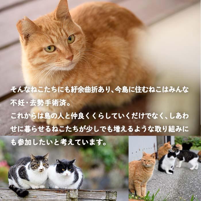 深島の猫へ寄付と深島猫グッズ (Aプラン・計4種) 猫 ネコ ねこ 寄附 ポストカード カレンダー ハンドタオル 大分県 佐伯市【EK08】【でぃーぷまりん】