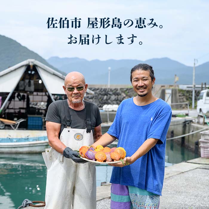 緋扇貝 (計18枚) 海鮮 ヒオウギ貝 BBQ バーベキュー 炭火焼 酒蒸し ご当地 国産 大分県 佐伯市産  屋形島で後藤さんが育てた緋扇貝 大分県 佐伯市【AX61】【後藤緋扇養殖販売】