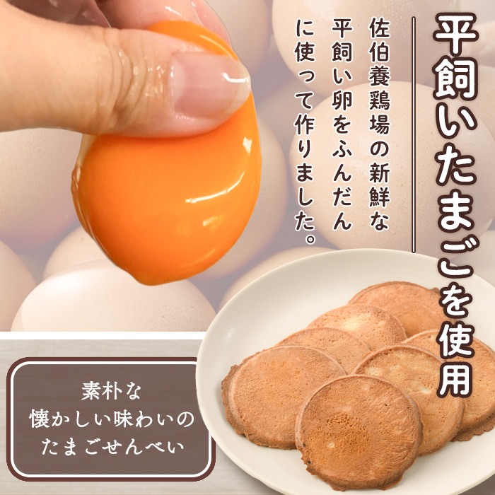 佐伯養鶏朝採れ平飼い卵120個＋たまごせんべい7袋