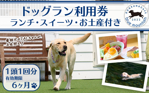 メール便でお届け！ドッグラン利用券(ランチ・スイーツ・お土産付き)(1頭1回分) 犬 ワンちゃん ペット チケット おやつ カフェ 体験 レジャー 自然 屋内 屋内 ラン ポスト投函 大分県 佐伯市 【HI001】【ドッグラン＆カフェblue mountain】