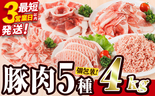  ＼3営業日以内発送／＜1回配送＞ 豚肉 バラエティーパック (合計4kg) 豚バラ しゃぶしゃぶ 鍋 とんかつ ロース 小分け 個包装 豚こま 小間切れ スライス ミンチ 5種 セット 詰め合わせ 冷凍 食べ比べ 国産 大分県 佐伯市【BD325】【西日本畜産】