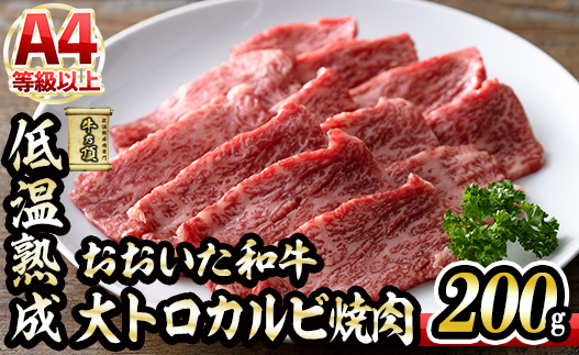 おおいた和牛 大トロカルビ焼肉 (200g) 国産 牛肉 肉 霜降り 低温熟成 A4 和牛 ブランド牛 BBQ 冷凍 大分県 佐伯市【DH220】【(株)ネクサ】