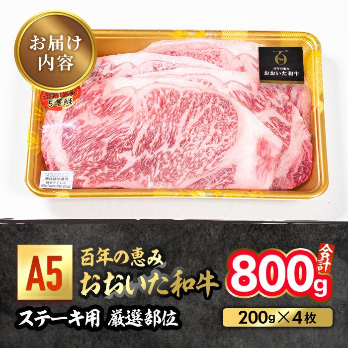 百年の恵み おおいた和牛 A5 ステーキ用 厳選部位 (計800g・200g×4枚) 国産 牛肉 肉 霜降り ロース 肩ロース サーロイン 和牛 ブランド牛 ステーキ 冷凍 大分県 佐伯市 【FS08】【 (株)トキハインダストリー】