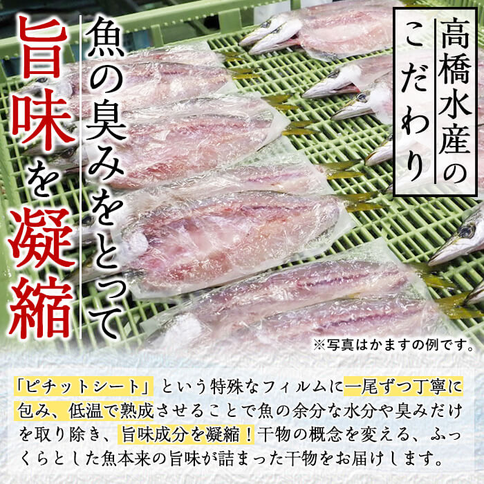＜定期便・全4回＞ギフト用品質！九州産 ひもの 季節の 定期便 (総計35枚) 定期 干物 鯛 かます さば サバ あじ アジ 開き 魚 海鮮 冷凍 ひもの 小分け 惣菜 おかず セット ギフト 贈り物 大分県 佐伯市【DH301】【ネクサ】