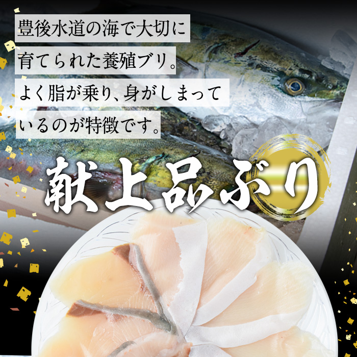 特製ごまだしで食べる！ブリしゃぶセット (合計400g・佐伯産かぼすぶり200g・献上品ぶり200g) 魚 さかな 鰤 鰤しゃぶ ぶりしゃぶ スライス 養殖 冷凍 お取り寄せ 【AQ95】【(株)やまろ渡邉】