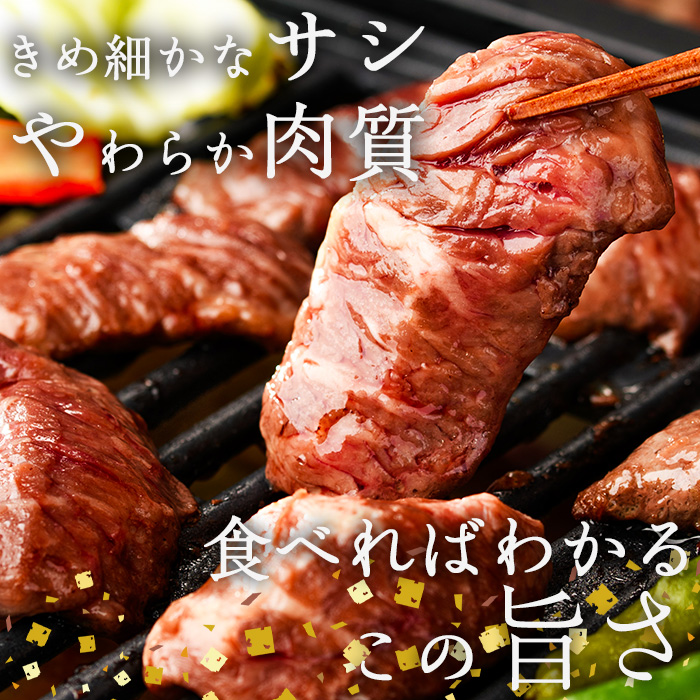 ＜定期便・全12回 (毎月の発送)＞プライム牛 塩ハラミ(総量4.8kg) 定期便 小分け 牛肉 肉 ハラミ 牛はらみ 味付け 焼肉 塩 BBQ 冷凍 大分県 佐伯市【DH323】【ネクサ】