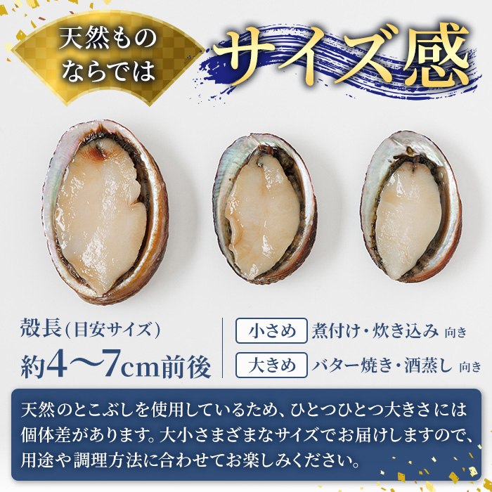 天然 トコブシ (約900g) 鮮魚 魚介 貝 トコブシ とこぶし 酒蒸し 網焼き バター焼き バーベキュー 獲れたて 冷蔵 海の直売所 大分県 佐伯市【AS82】【海べ】