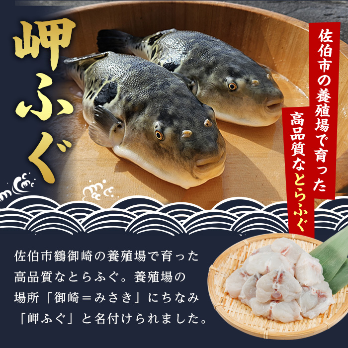 豊後水道 とらふぐ 切り身 (計1.2kg) ふぐ フグ トラフグ ふぐ鍋 唐揚げ ふぐちり てっちり 小分け 切身 切り身魚 切身魚 大容量 国産 冷凍 養殖 岬ふぐ【JJ001】【浪井丸一水産】