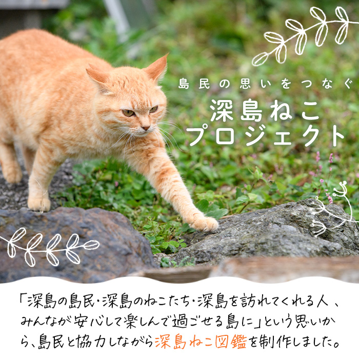 深島ねこ図鑑vol.3 (1冊) 猫 ねこ 写真集 本 雑誌 書籍 深島 猫の島 グッズ 大分県 佐伯市 【HD238】【さいき本舗 城下堂】