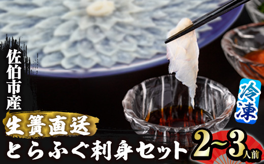 ＜瞬間凍結＞生簀直送 とらふぐ 刺身 セット (2-3人前) 魚 鮮魚 ふぐ 河豚 刺し身 刺身 さしみ ポン酢 もみじおろし 冷凍 佐伯 養殖 大分県 佐伯市 【EA29】【(株)トーワ】