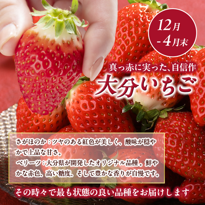 ＜定期便・全4回＞大分県産旬のフルーツ定期便 (4種・総量9kg) ブルーベリー シャインマスカット 温州みかん いちご フルーツ 果物 柑橘 ブドウ デザート 大分県産＜北海道・沖縄・離島配送不可＞ 【DT23】【全国農業協同組合連合会大分県本部】