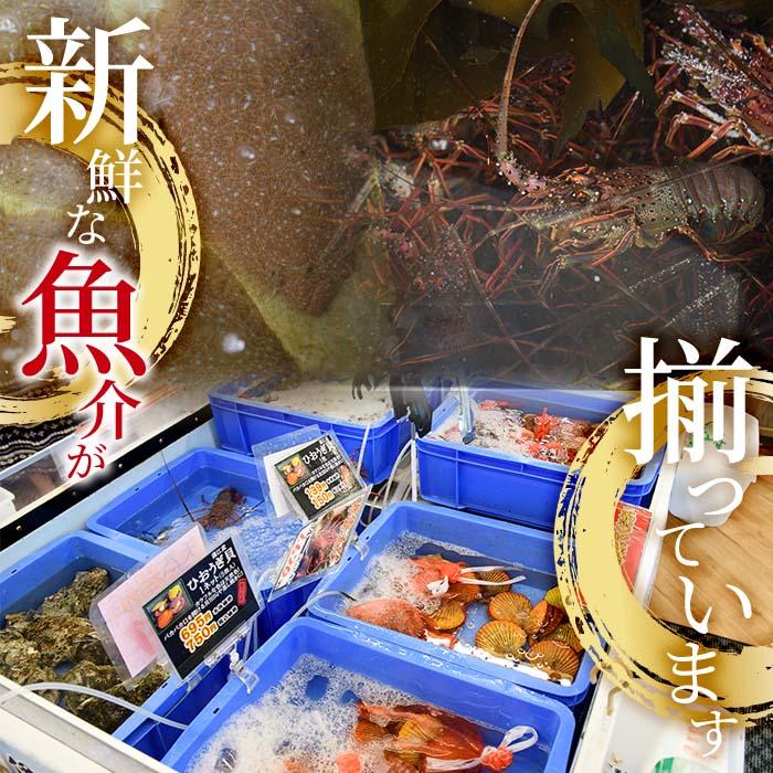 ヒオウギ貝(10枚)とサザエ(約1kg) 魚介 貝 ヒオウギ貝 ひおうぎ貝 サザエ さざえ 栄螺 酒蒸し 網焼き バター焼き バーベキュー 獲れたて 冷蔵 海の直売所 大分県 佐伯市【AS120】【海べ (株)】