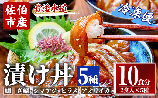 漬け丼 5種セット (計10食分・2食入×5種) りゅうきゅう あつめし 魚介 鰤 ブリ 真鯛 タイ シマアジ アジ ヒラメ 鮃 アオリイカ イカ 冷凍 海鮮 海の直売所 大分県 佐伯市【AS147】【海べ (株)】