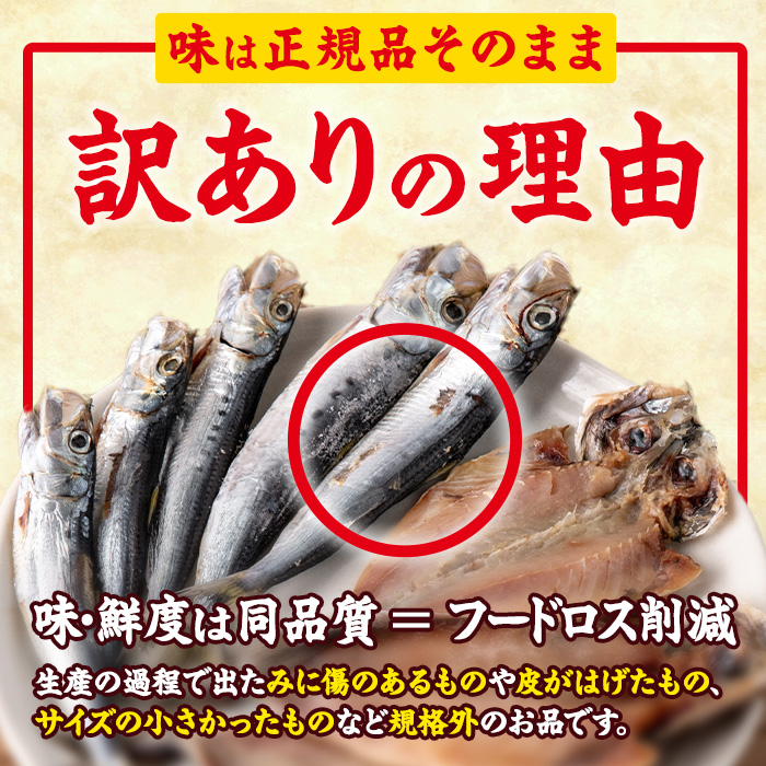 【期間限定・さば切り身2切付】＜定期便・全6回 (隔月)＞訳あり 干物大満足BOX (40尾以上) 定期便 簡単 調理 干物 あじ かます さば いわし みりん干し 丸干し 開き 魚 海鮮 冷凍 詰め合わせ セット 大分県 佐伯市【AQ90-G】【やまろ渡邉】