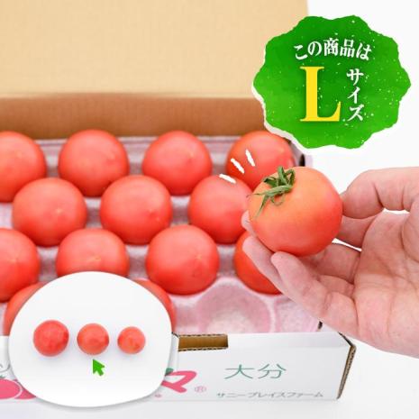 フルーツトマト 朱朱 Lサイズ (計1kg・12-14玉) L 高糖度 糖度 フルーツトマト トマト 野菜 サラダ 大分県 佐伯市 九州産 国産 大分県 佐伯市【CH62】【(株)サニープレイス】