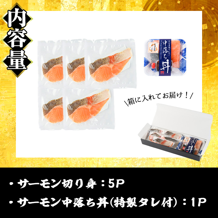 大分豊後サーモン 切り身(5P)+中落ち丼(1P)セット 魚 鮮魚 切身 中落ち 丼 冷凍 佐伯 養殖 食べ比べ 国産 大分県 佐伯市【EA28】【(株)トーワ】