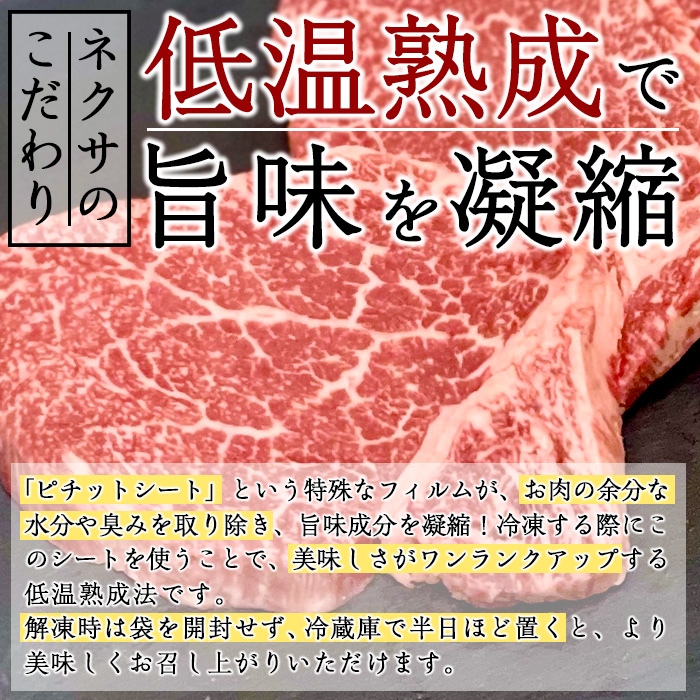 おおいた和牛 シャトーブリアンステーキ (計400g ・シャトーブリアンステーキ約100g×4枚、ステーキソース20g×4袋) 国産 牛肉 肉 霜降り A4 希少部位 ヒレ シャトーブリアン ステーキ 和牛 ブランド牛 冷凍 大分県 佐伯市【DH265】【(株)ネクサ】