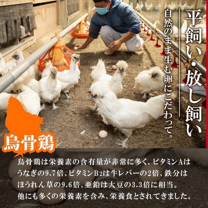 平飼い烏骨鶏のたまご (計10個) 元さん農園 卵 玉子 卵かけご飯 玉子焼き 平飼い 鶏 鶏卵 養鶏場直送 朝採れ 新鮮 大分県 佐伯市 【GE003】【 (株)海九】