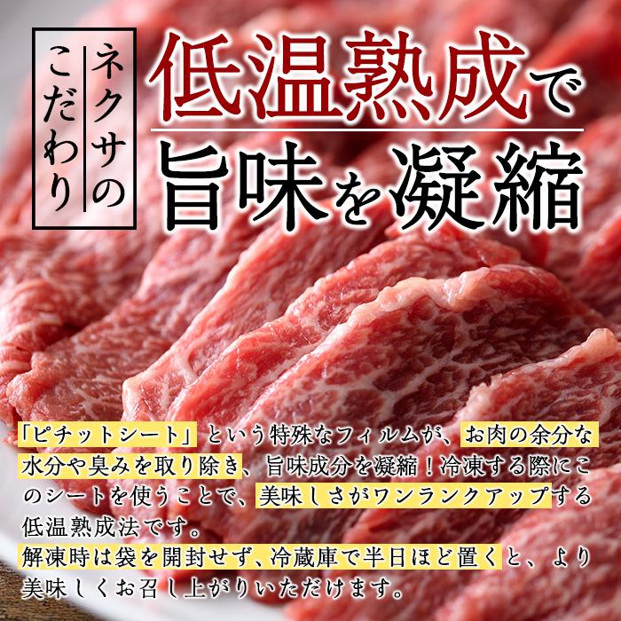 ＜先行予約受付中！2025年2月以降順次発送予定＞おおいた和牛 トウガラシ 焼肉 (300g) 国産 牛肉 肉 霜降り 低温熟成 A4 和牛 ブランド牛 BBQ 冷凍 大分県 佐伯市【DH221】【(株)ネクサ】