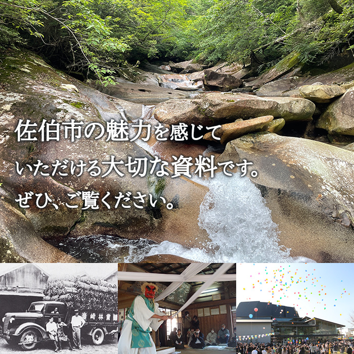 佐伯市誌 上・中・下巻 (全3巻) 本 書籍 歴史 資料 通史 古代 文芸 民俗 文化財 大分県 佐伯市 【HR01】【佐伯市教育委員会社会教育課】