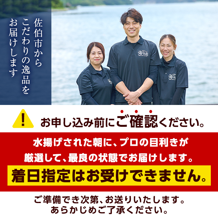 ヒオウギ貝 (20枚) 魚介 貝 ヒオウギ貝 ひおうぎ貝 酒蒸し 網焼き バター焼き バーベキュー 獲れたて 冷蔵 海の直売所 大分県 佐伯市【AS118】【海べ (株)】