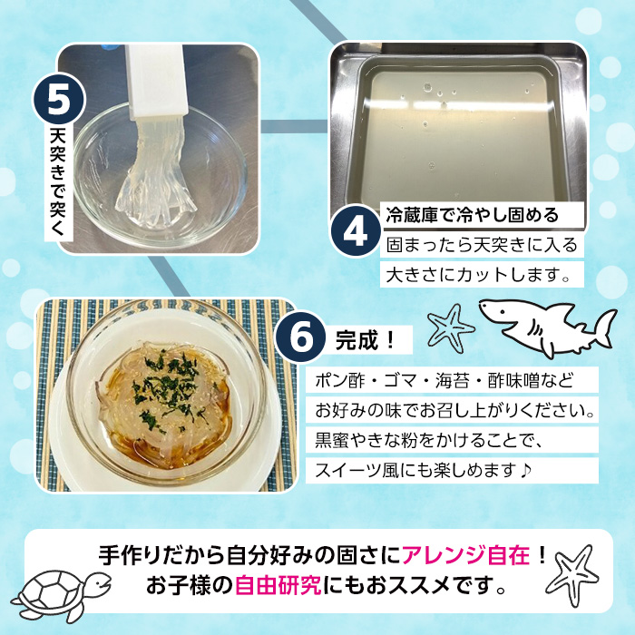 ところてんの素 (1袋・25g＋天突き付き) ところてん 天草 海藻 ヘルシー カロリーオフ デザート 常温【CW31】【山忠】